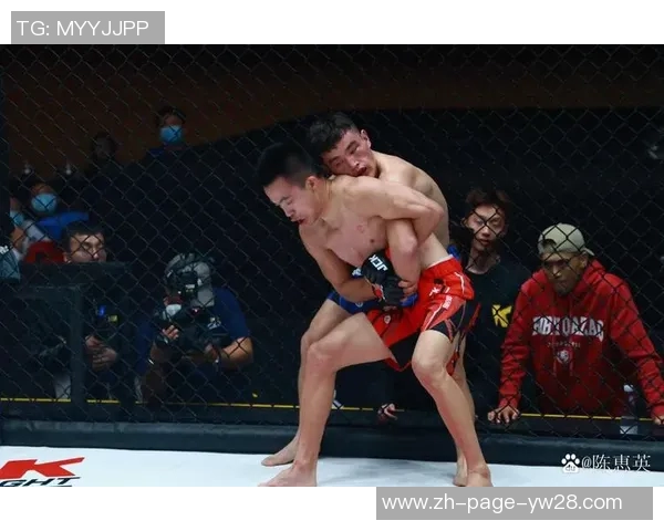 一龙与海耶斯巅峰对决谁将成为搏击界的新王者